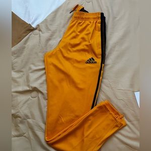 Golden Yellow Adidas Pants
